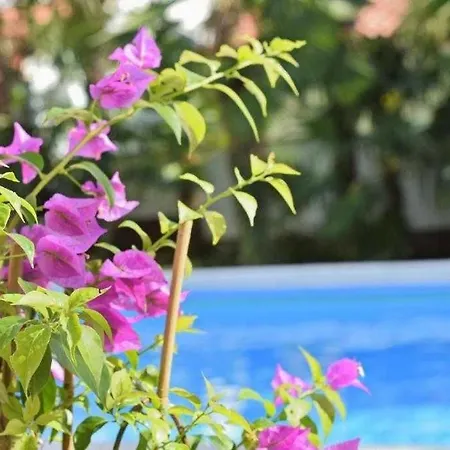 In With Balcony, Wifi 819-3 Apartman