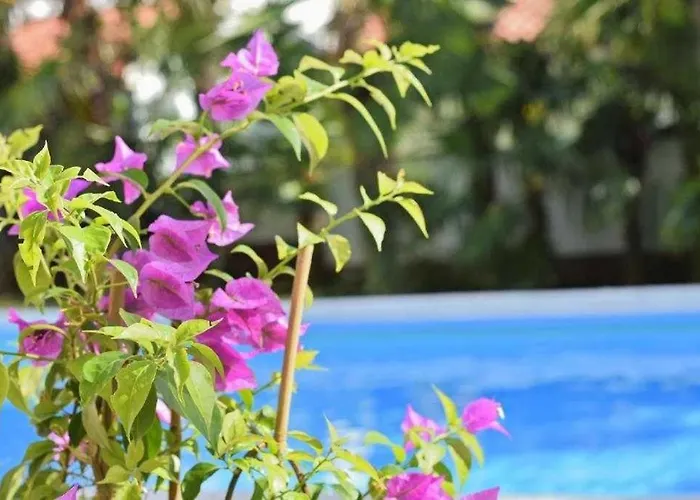 In With Balcony, Wifi 819-3 Lejlighed